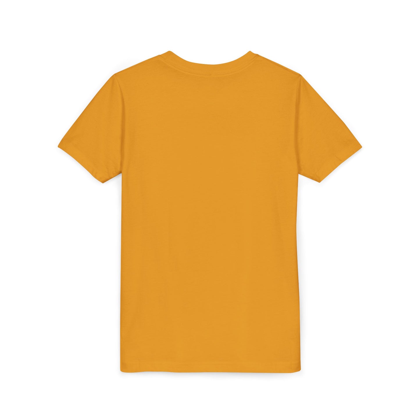 Passenger Princess Rex Youth Size T-Shirt for kids who love dinosaurs